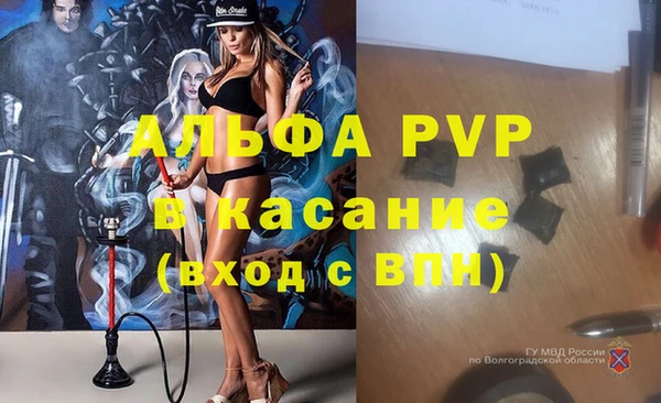 СК Абаза