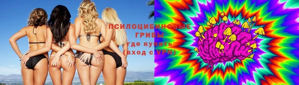 ALPHA-PVP Осинники