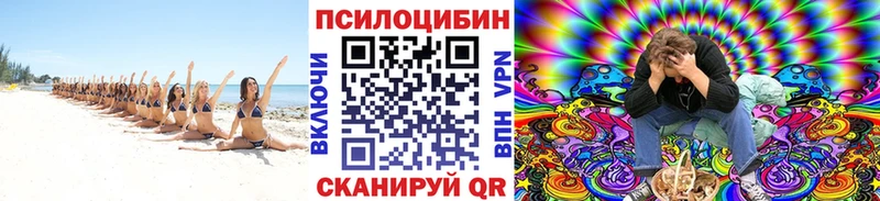 Псилоцибиновые грибы Cubensis  Белая Калитва 